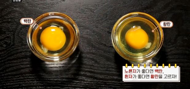 신선한달걀고르는법 똑똑하게계란고르는법 달걀신선하게보관하는법 알토란식재료백서2